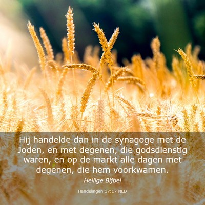 Picture 03 - Handelingen 17:17 NLD - Hij handelde dan in de synagoge met de Joden, en - Bible Verse Picture