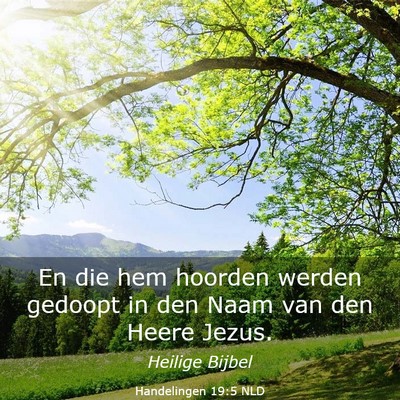 Picture 03 - Handelingen 19:5 NLD - En die hem hoorden werden gedoopt in den Naam van - Bible Verse Picture