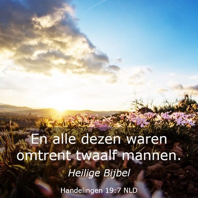 Picture 03 - Handelingen 19:7 NLD - En alle dezen waren omtrent twaalf - Bible Verse Picture