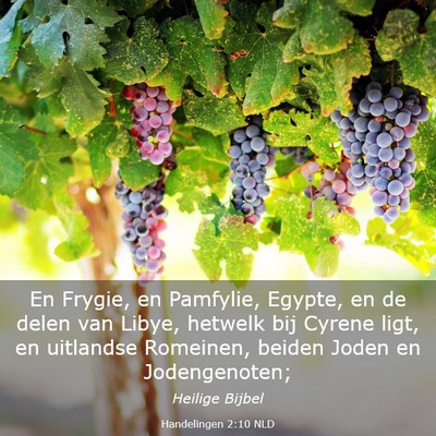 Picture 03 - Handelingen 2:10 NLD - En Frygie, en Pamfylie, Egypte, en de delen van - Bible Verse Picture