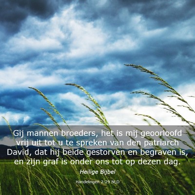 Picture 03 - Handelingen 2:29 NLD - Gij mannen broeders, het is mij geoorloofd vrij - Bible Verse Picture