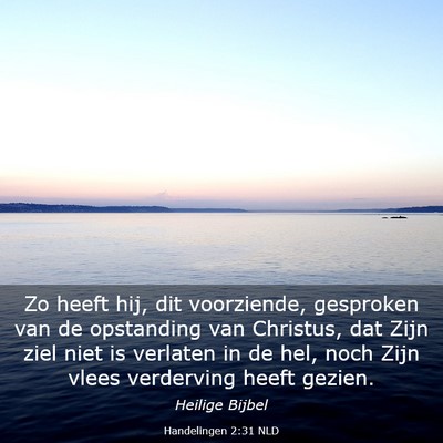 Picture 03 - Handelingen 2:31 NLD - Zo heeft hij, dit voorziende, gesproken van de - Bible Verse Picture