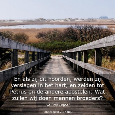 Picture 03 - Handelingen 2:37 NLD - En als zij dit hoorden, werden zij verslagen in - Bible Verse Picture