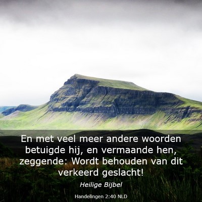 Picture 03 - Handelingen 2:40 NLD - En met veel meer andere woorden betuigde hij, en - Bible Verse Picture