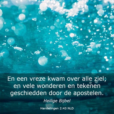 Picture 03 - Handelingen 2:43 NLD - En een vreze kwam over alle ziel; en vele - Bible Verse Picture