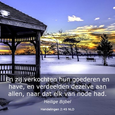 Picture 03 - Handelingen 2:45 NLD - En zij verkochten hun goederen en have, en - Bible Verse Picture