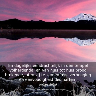 Picture 03 - Handelingen 2:46 NLD - En dagelijks eendrachtelijk in den tempel - Bible Verse Picture