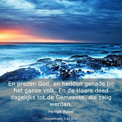 Picture 03 - Handelingen 2:47 NLD - En prezen God, en hadden genade bij het ganse - Bible Verse Picture
