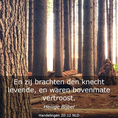 Picture 03 - Handelingen 20:12 NLD - En zij brachten den knecht levende, en waren - Bible Verse Picture