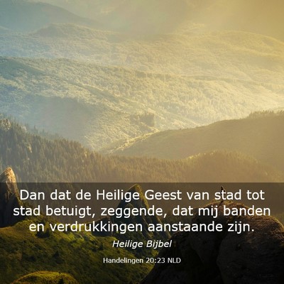 Picture 03 - Handelingen 20:23 NLD - Dan dat de Heilige Geest van stad tot stad - Bible Verse Picture