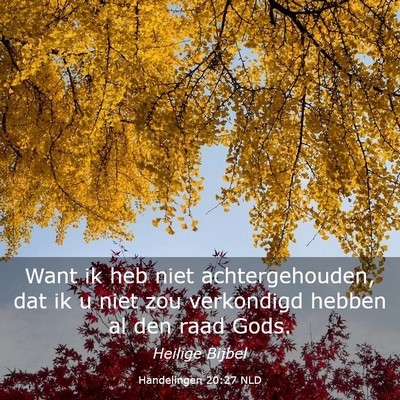 Picture 03 - Handelingen 20:27 NLD - Want ik heb niet achtergehouden, dat ik u niet - Bible Verse Picture