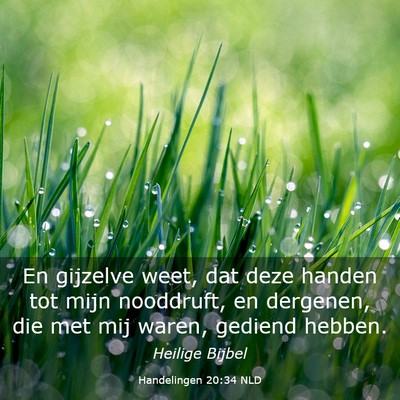 Picture 03 - Handelingen 20:34 NLD - En gijzelve weet, dat deze handen tot mijn - Bible Verse Picture