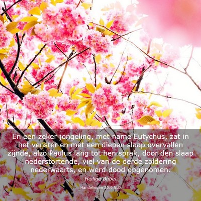 Picture 03 - Handelingen 20:9 NLD - En een zeker jongeling, met name Eutychus, zat in - Bible Verse Picture
