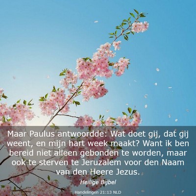 Picture 03 - Handelingen 21:13 NLD - Maar Paulus antwoordde: Wat doet gij, dat gij - Bible Verse Picture
