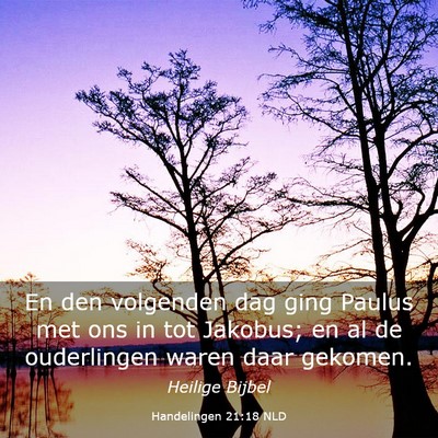 Picture 03 - Handelingen 21:18 NLD - En den volgenden dag ging Paulus met ons in tot - Bible Verse Picture