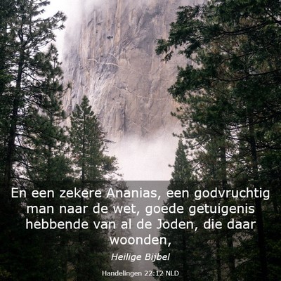 Picture 03 - Handelingen 22:12 NLD - En een zekere Ananias, een godvruchtig man naar - Bible Verse Picture
