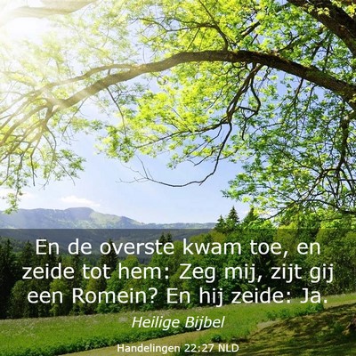 Picture 03 - Handelingen 22:27 NLD - En de overste kwam toe, en zeide tot hem: Zeg - Bible Verse Picture