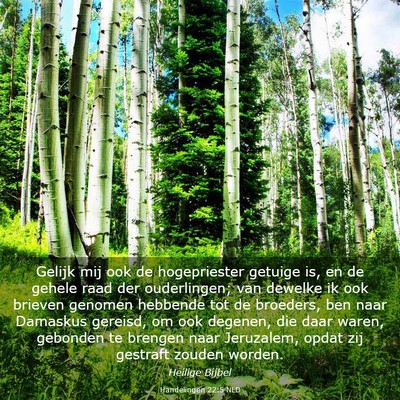 Picture 03 - Handelingen 22:5 NLD - Gelijk mij ook de hogepriester getuige is, en de - Bible Verse Picture
