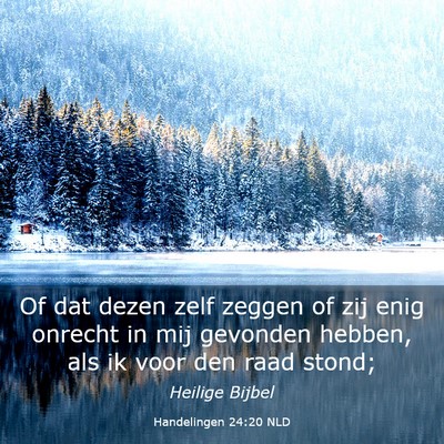 Picture 03 - Handelingen 24:20 NLD - Of dat dezen zelf zeggen of zij enig onrecht in - Bible Verse Picture