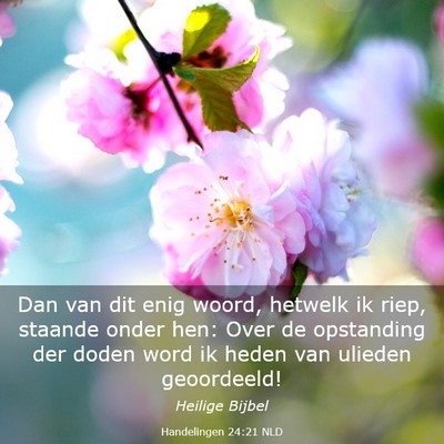 Picture 03 - Handelingen 24:21 NLD - Dan van dit enig woord, hetwelk ik riep, staande - Bible Verse Picture