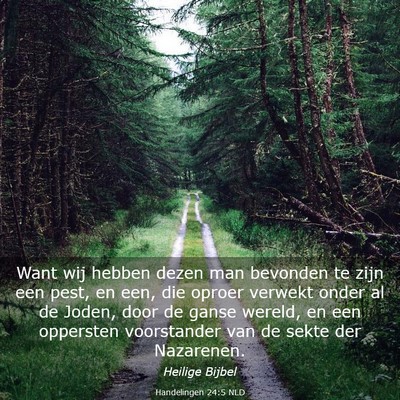 Picture 03 - Handelingen 24:5 NLD - Want wij hebben dezen man bevonden te zijn een - Bible Verse Picture