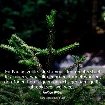 Picture 03 - Handelingen 25:10 NLD - En Paulus zeide: Ik sta voor den rechterstoel des - Bible Verse Picture