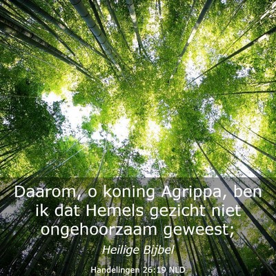 Picture 03 - Handelingen 26:19 NLD - Daarom, o koning Agrippa, ben ik dat Hemels - Bible Verse Picture