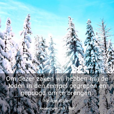Picture 03 - Handelingen 26:21 NLD - Om dezer zaken wil hebben mij de Joden in den - Bible Verse Picture