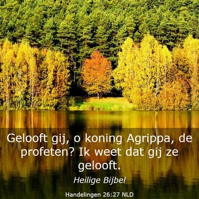 Picture 03 - Handelingen 26:27 NLD - Gelooft gij, o koning Agrippa, de profeten? Ik - Bible Verse Picture