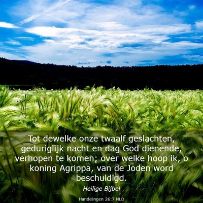 Picture 03 - Handelingen 26:7 NLD - Tot dewelke onze twaalf geslachten, geduriglijk - Bible Verse Picture
