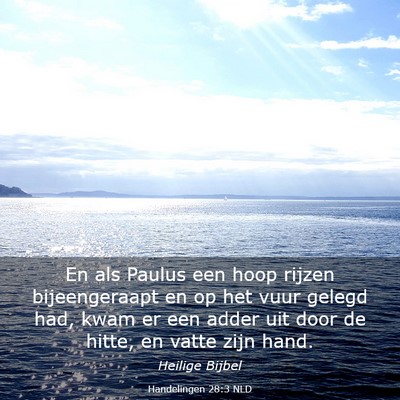 Picture 03 - Handelingen 28:3 NLD - En als Paulus een hoop rijzen bijeengeraapt en op - Bible Verse Picture