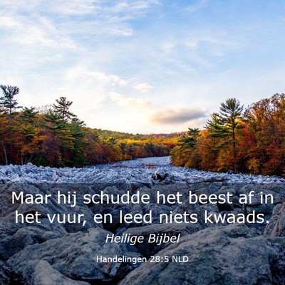 Picture 03 - Handelingen 28:5 NLD - Maar hij schudde het beest af in het vuur, en - Bible Verse Picture