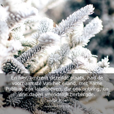 Picture 03 - Handelingen 28:7 NLD - En hier, omtrent dezelfde plaats, had de - Bible Verse Picture