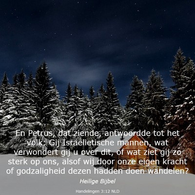 Picture 03 - Handelingen 3:12 NLD - En Petrus, dat ziende, antwoordde tot het volk: - Bible Verse Picture