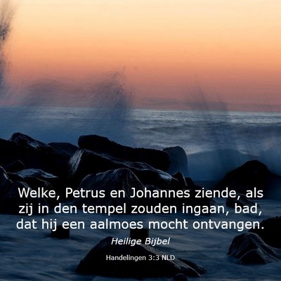 Picture 03 - Handelingen 3:3 NLD - Welke, Petrus en Johannes ziende, als zij in den - Bible Verse Picture
