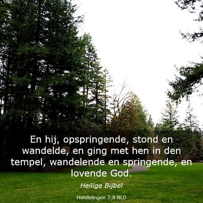 Picture 03 - Handelingen 3:8 NLD - En hij, opspringende, stond en wandelde, en ging - Bible Verse Picture