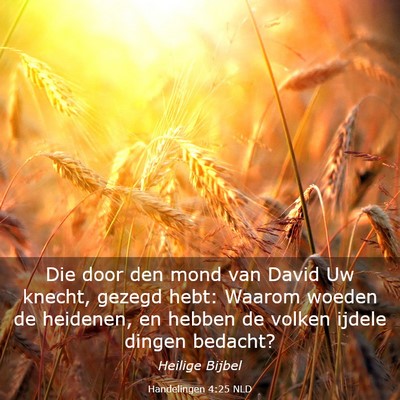 Picture 03 - Handelingen 4:25 NLD - Die door den mond van David Uw knecht, gezegd - Bible Verse Picture