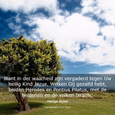 Picture 03 - Handelingen 4:27 NLD - Want in der waarheid zijn vergaderd tegen Uw - Bible Verse Picture