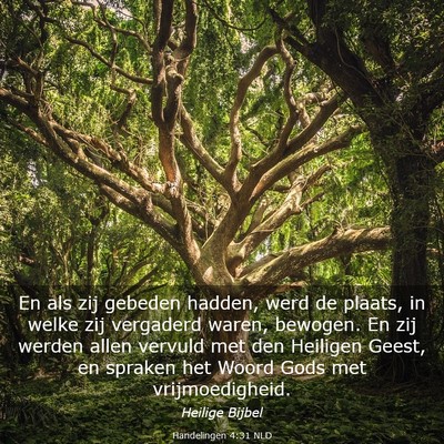 Picture 03 - Handelingen 4:31 NLD - En als zij gebeden hadden, werd de plaats, in - Bible Verse Picture