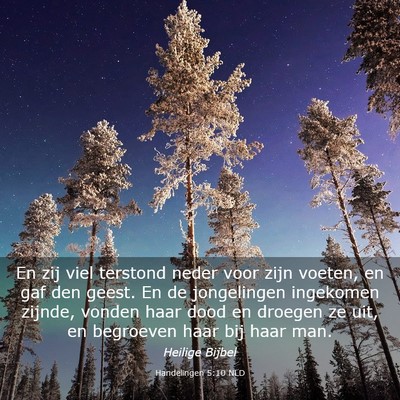 Picture 03 - Handelingen 5:10 NLD - En zij viel terstond neder voor zijn voeten, en - Bible Verse Picture