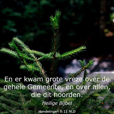 Picture 03 - Handelingen 5:11 NLD - En er kwam grote vreze over de gehele Gemeente, - Bible Verse Picture