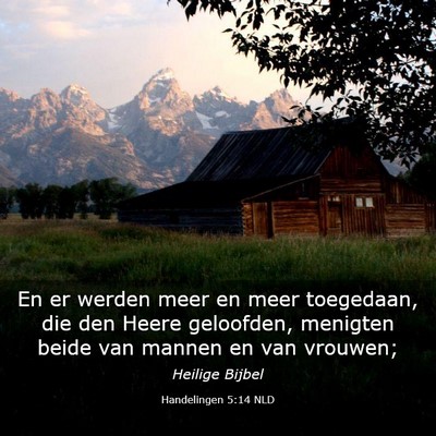 Picture 03 - Handelingen 5:14 NLD - En er werden meer en meer toegedaan, die den - Bible Verse Picture