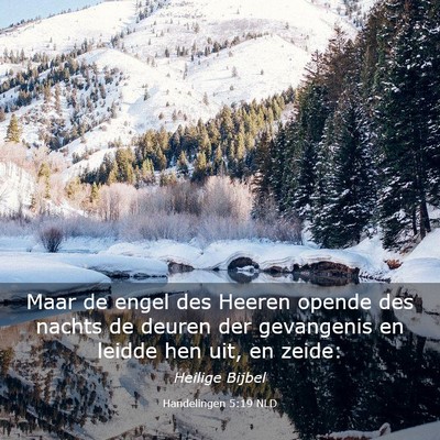 Picture 03 - Handelingen 5:19 NLD - Maar de engel des Heeren opende des nachts de - Bible Verse Picture