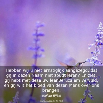 Picture 03 - Handelingen 5:28 NLD - Hebben wij u niet ernstiglijk aangezegd, dat gij - Bible Verse Picture