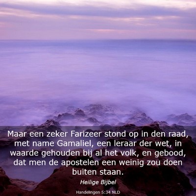 Picture 03 - Handelingen 5:34 NLD - Maar een zeker Farizeer stond op in den raad, met - Bible Verse Picture