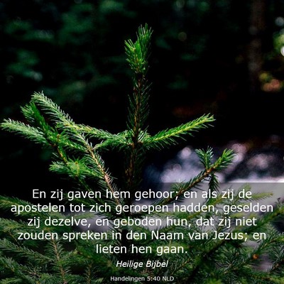 Picture 03 - Handelingen 5:40 NLD - En zij gaven hem gehoor; en als zij de apostelen - Bible Verse Picture