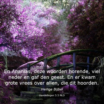 Picture 03 - Handelingen 5:5 NLD - En Ananias, deze woorden horende, viel neder en - Bible Verse Picture