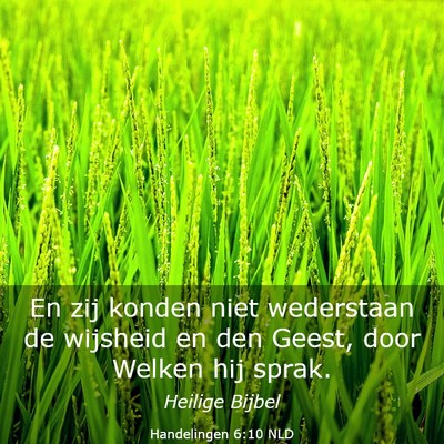 Picture 03 - Handelingen 6:10 NLD - En zij konden niet wederstaan de wijsheid en den - Bible Verse Picture