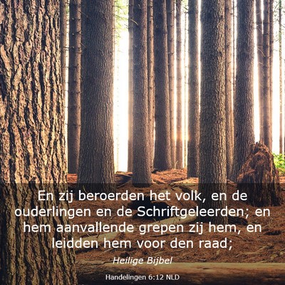 Picture 03 - Handelingen 6:12 NLD - En zij beroerden het volk, en de ouderlingen en - Bible Verse Picture