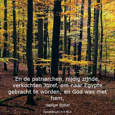 Picture 03 - Handelingen 7:9 NLD - En de patriarchen, nijdig zijnde, verkochten - Bible Verse Picture
